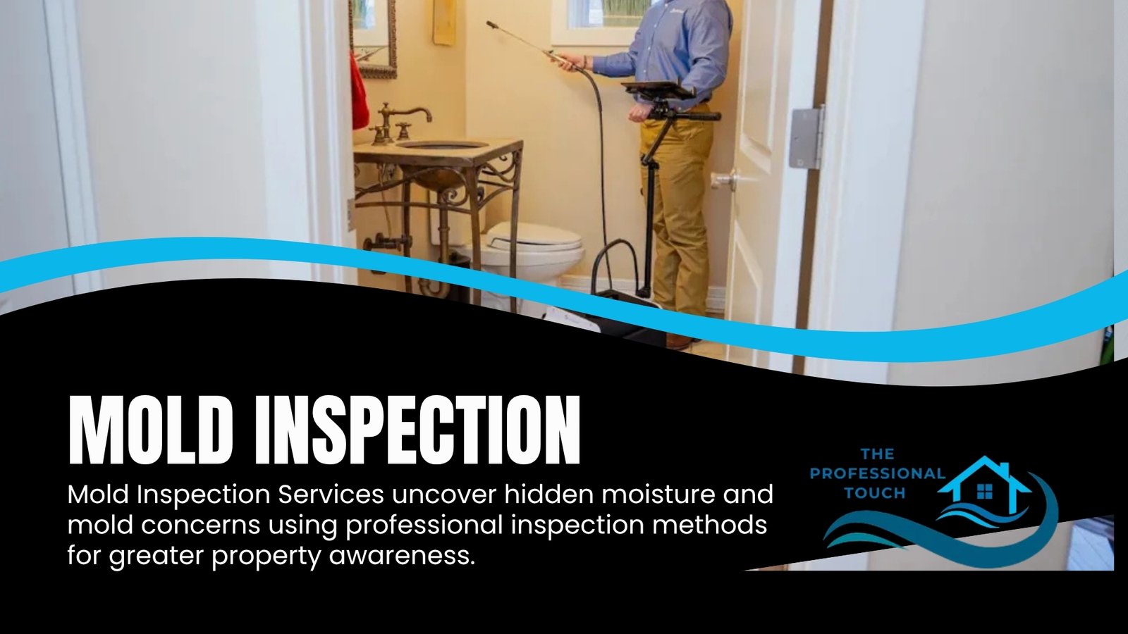 Mold Inspection Services in Iowa Falls