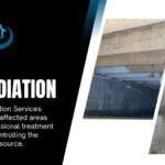 Mold Remediation in Iowa Falls, IA: What Homeowners Need to Know