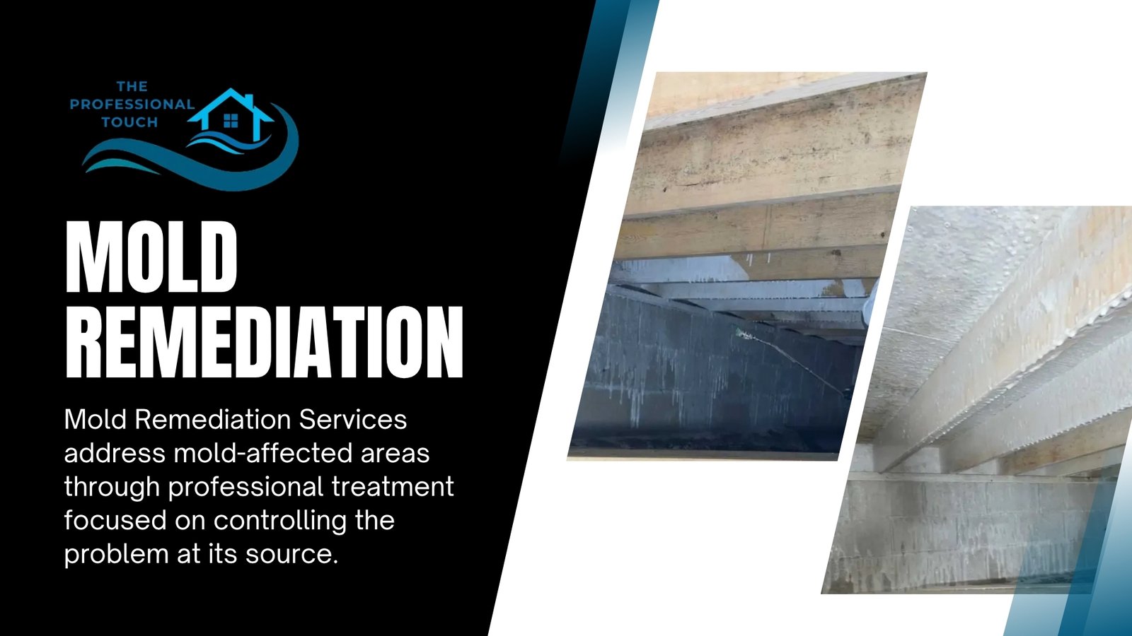 Mold Remediation Services in Iowa Falls