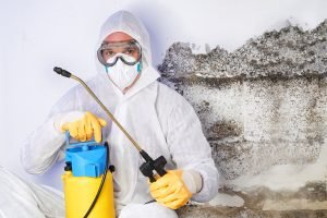 imgi_178_Mold-Remediation-near-me