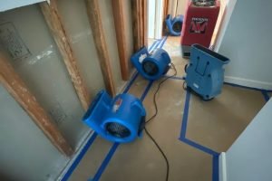 imgi_315_IMG_6016+(1)-640w